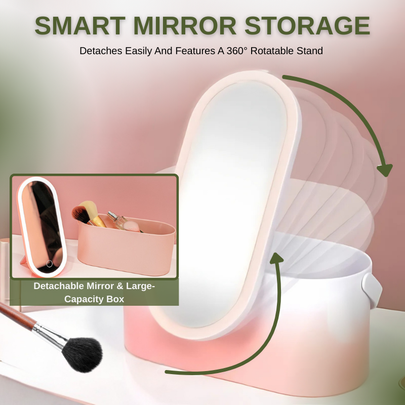 Travel Portable Makeup Organizer Box With LED