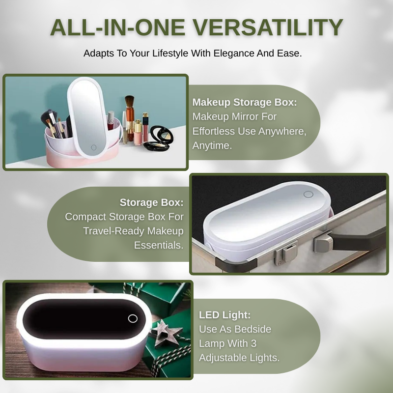 Travel Portable Makeup Organizer Box With LED